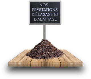 Nos présentations de d'élagage et d'abatage